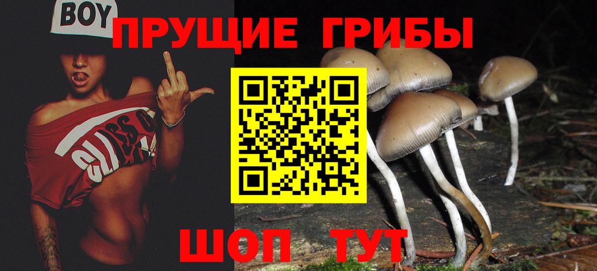 Псилоцибиновые грибы мухоморы Вязники