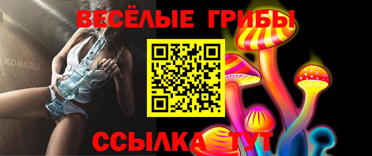 купить наркоту  Псилоцибиновые грибы мицелий  Вход с VPN  Вязники  Галлюциногенные грибы GOLDEN TEACHER 
